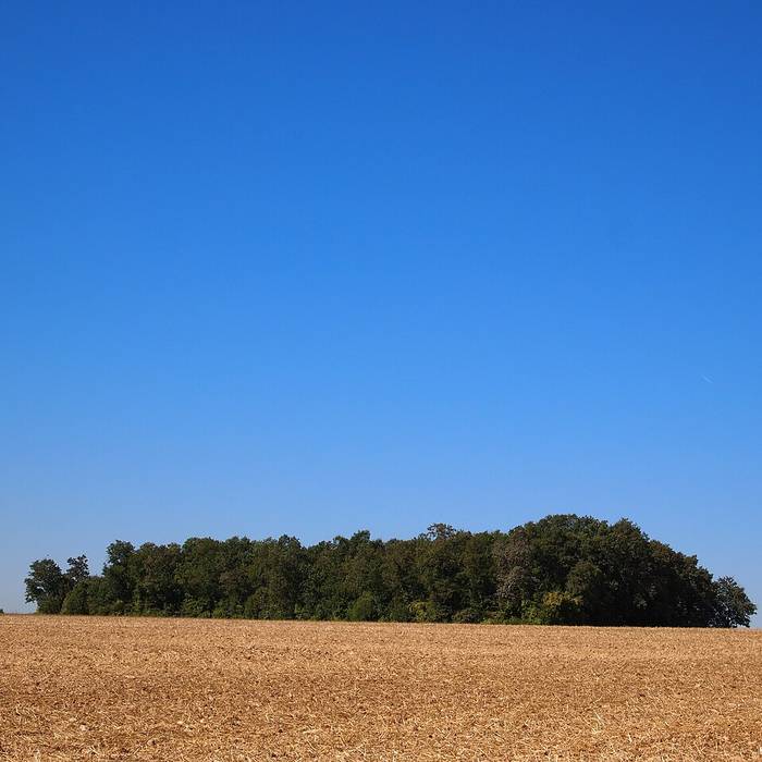 Photo de Quatre Tumulis de Tusson
